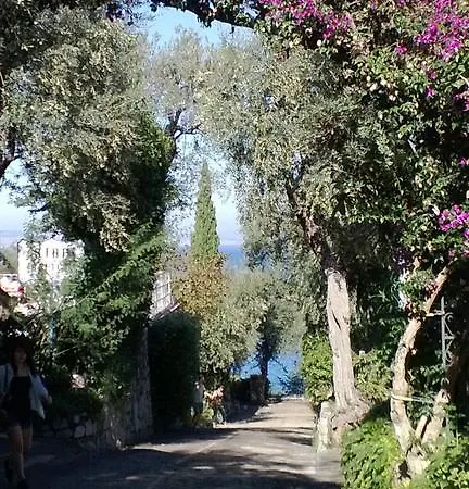 キャンプ場 Nube D'argento *