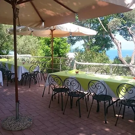 キャンプ場 Nube D'argento *