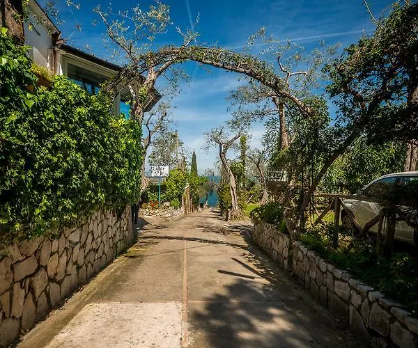 Nube D'argento * Sorrent